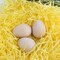 aster Wooden Eggs,8 Pcs Smooth Natural Unfinished Wood Fake Egg for Easter Craft